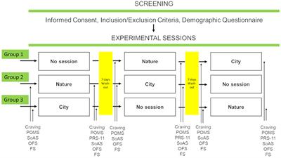 Nature-based experience in Venetian lagoon: Effects on craving and wellbeing in addict residential inpatients
